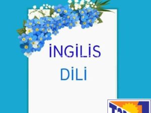 İngilis dili kursu