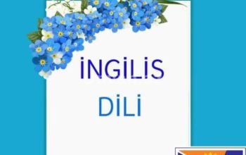 İngilis dili kursu