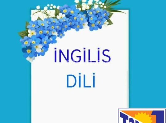 İngilis dili kursu