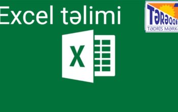 Excel təlimi