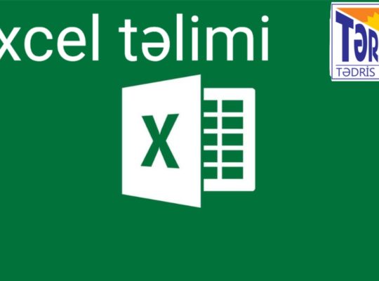 Excel təlimi